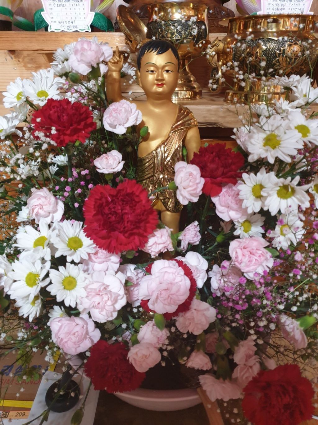 평화로운세상 이미지