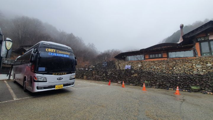 다가치여행사 이미지