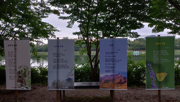 수향 이미지