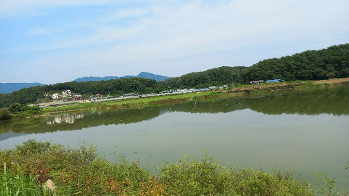 유기농카페 이미지