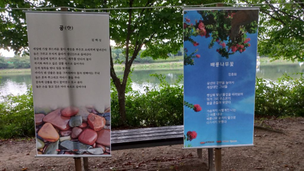 수향 이미지