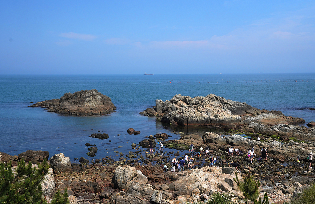 기장바다수산 이미지