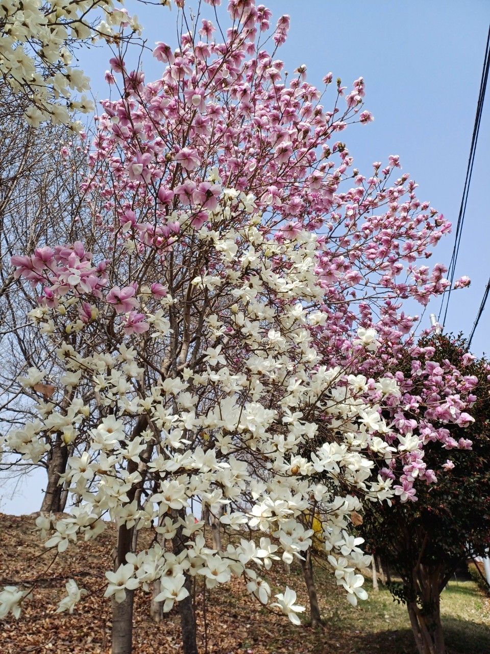 사람과사랑 이미지