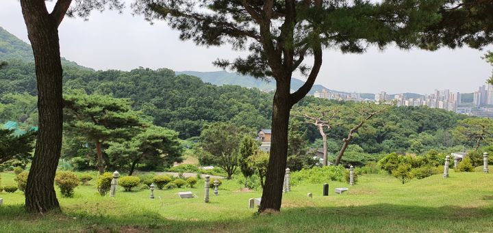 깜봉산 정상 이미지