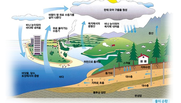 율로기아 이미지