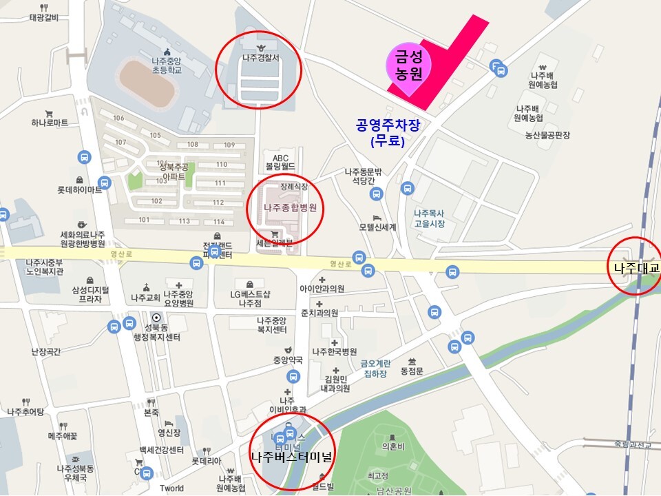 금성농원 이미지