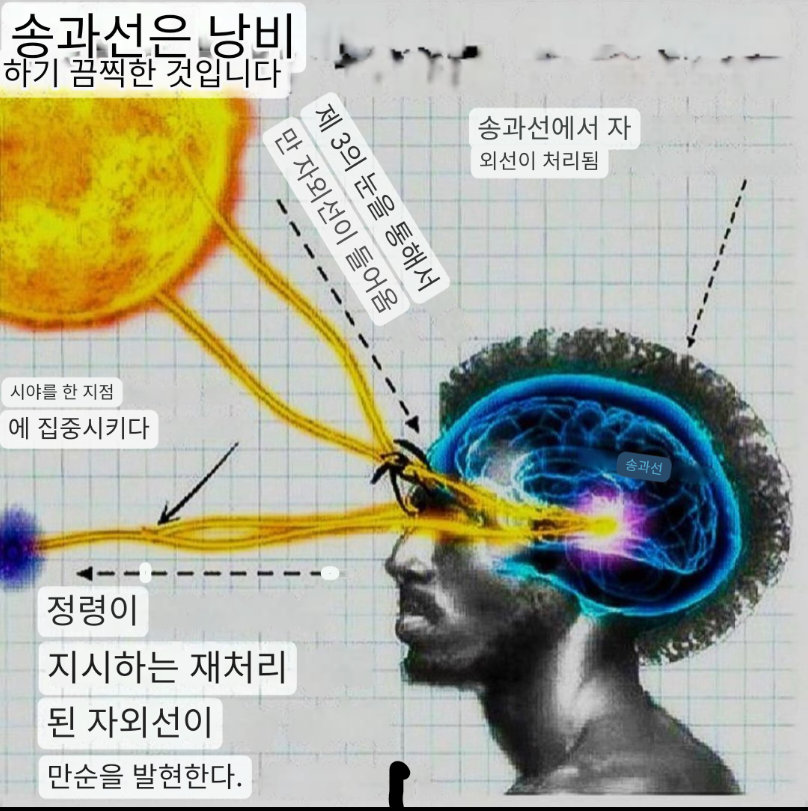 태양테라피 이미지