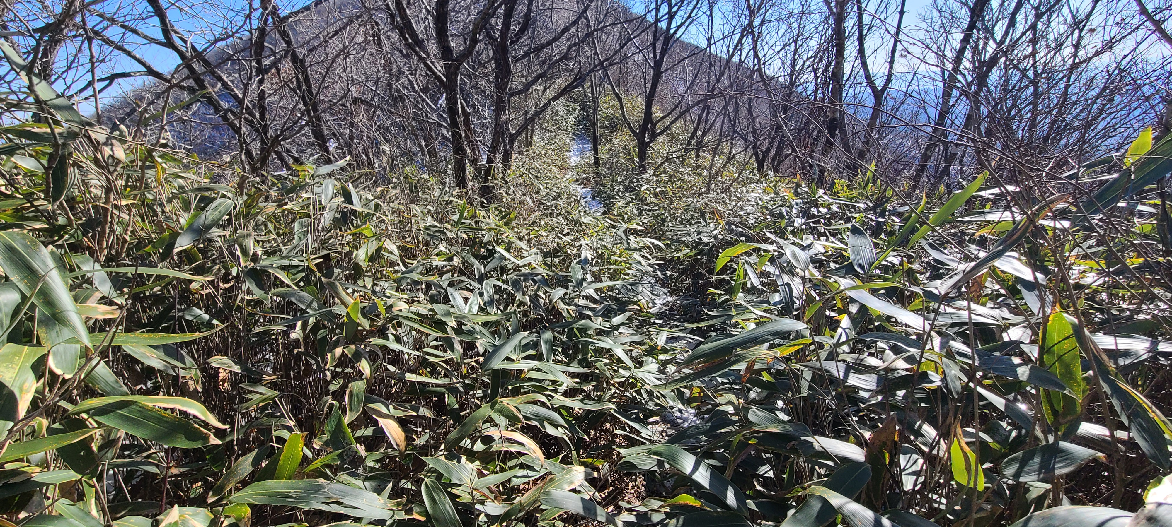 대덕산 정상 이미지