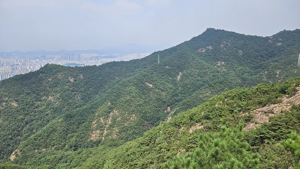 서울장묘사업소 이미지