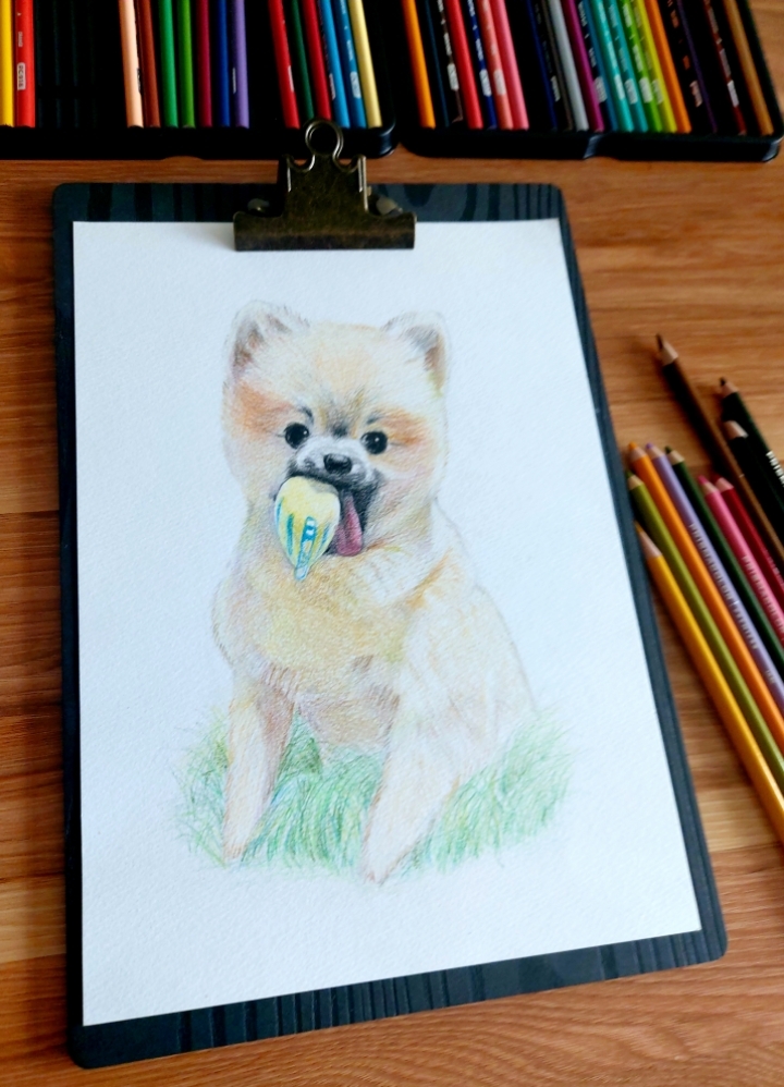 色鉛筆画の肖像画 其他商品 가타상품 醴泉 예천 의 Yoko