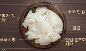 라드 이미지
