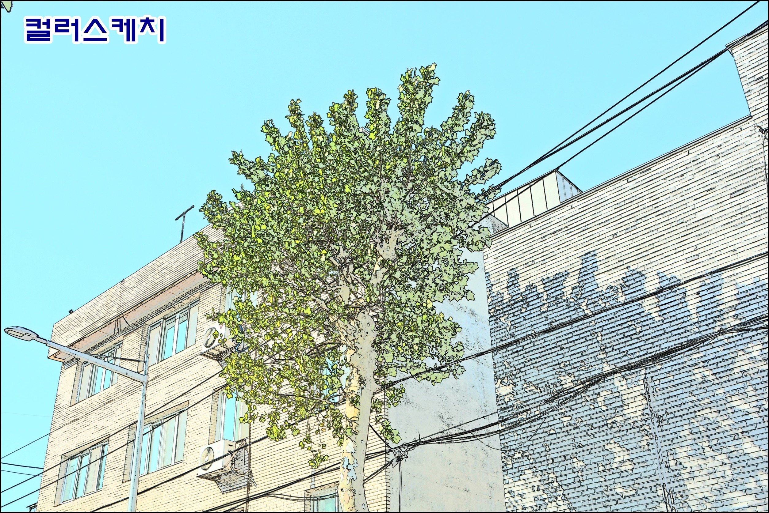 컬러스케치 이미지