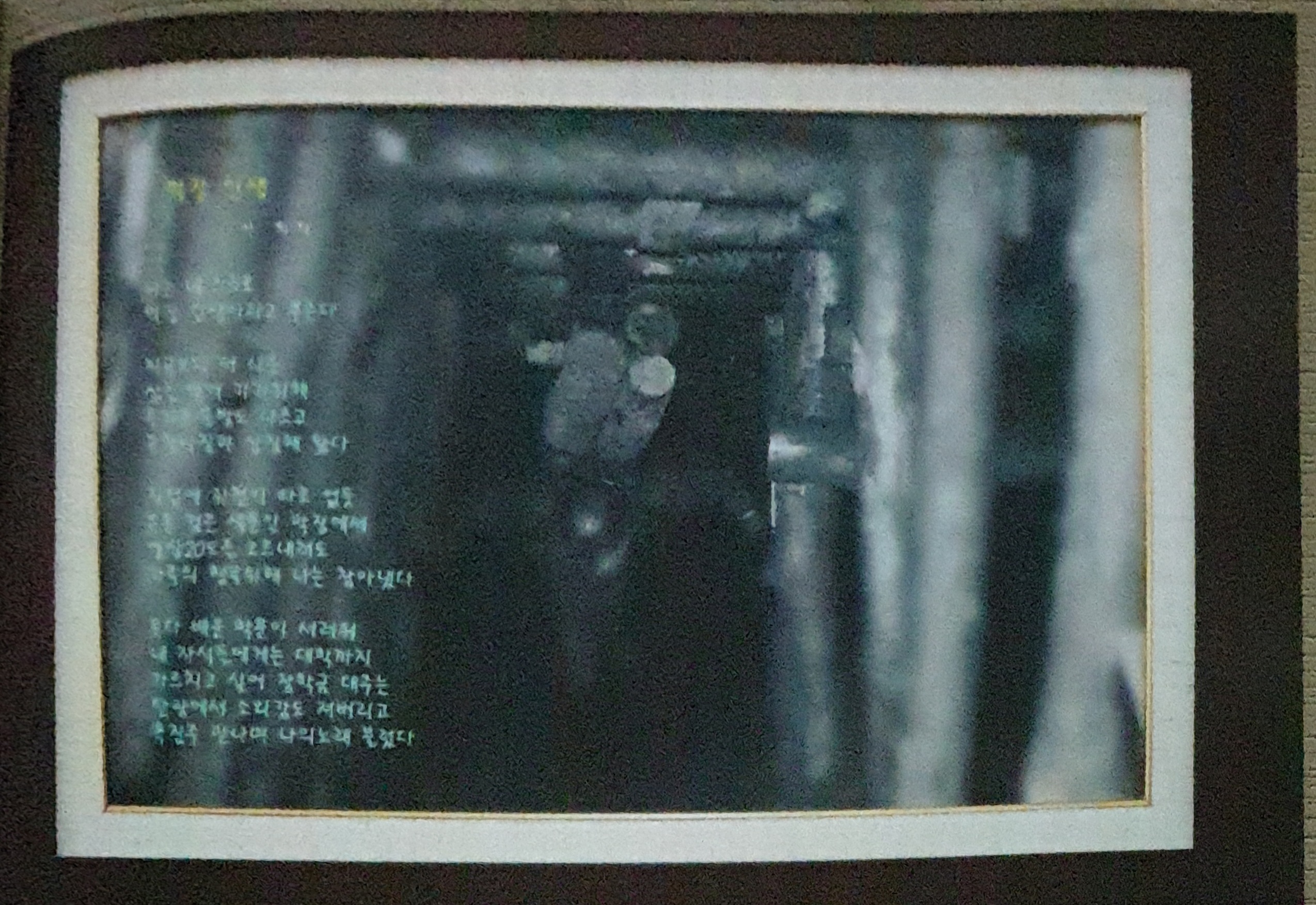 막장인생 이미지
