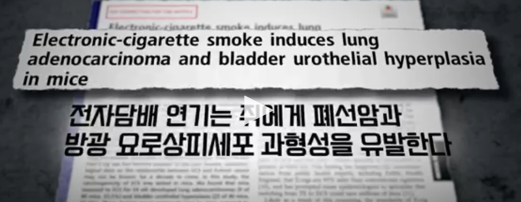 [충격] 전자담배는 충분히 해로움 | 인스티즈