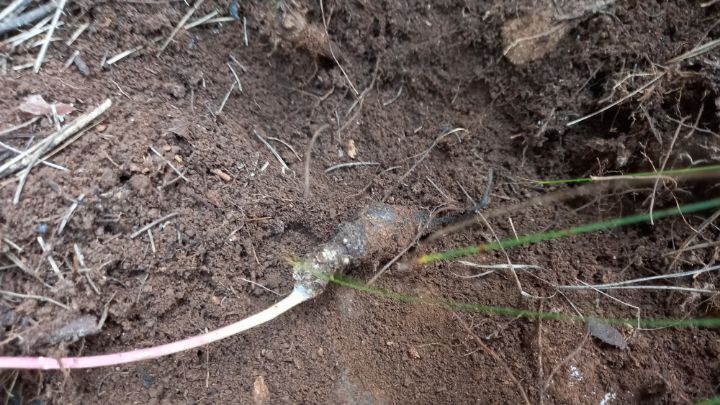 산이주는선물 이미지