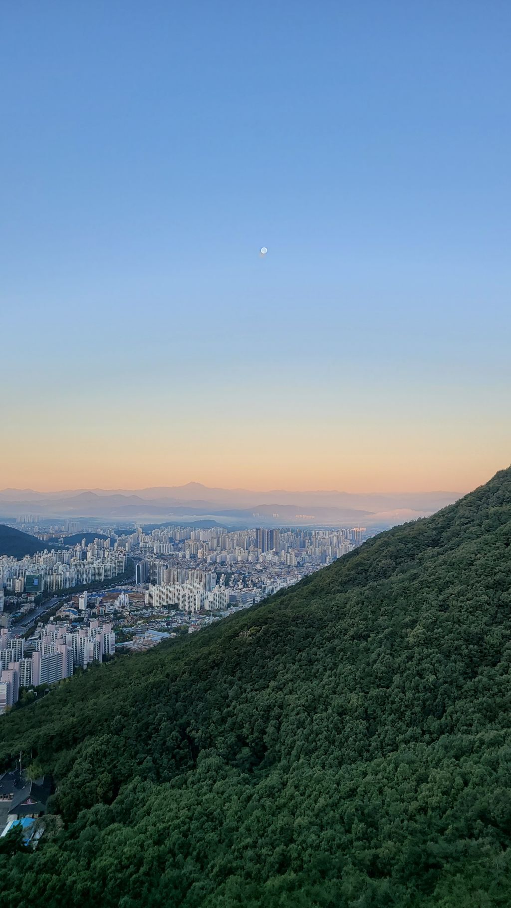 달비골 이미지