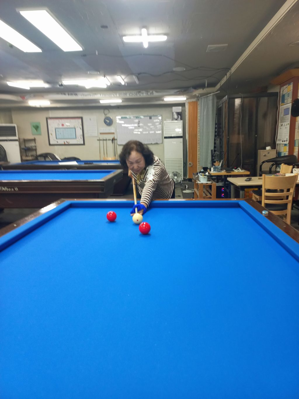 꽃순이 이미지