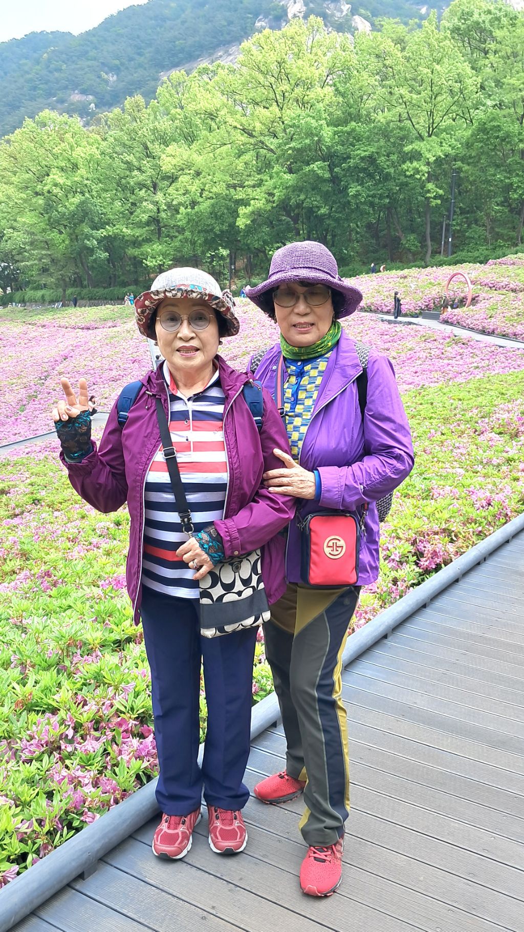 추억카페 이미지