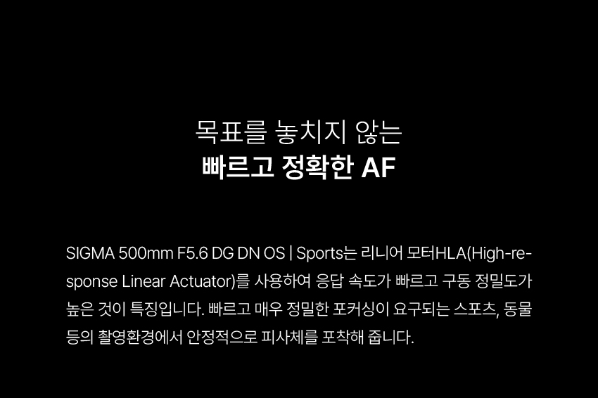 시그마스포츠 이미지