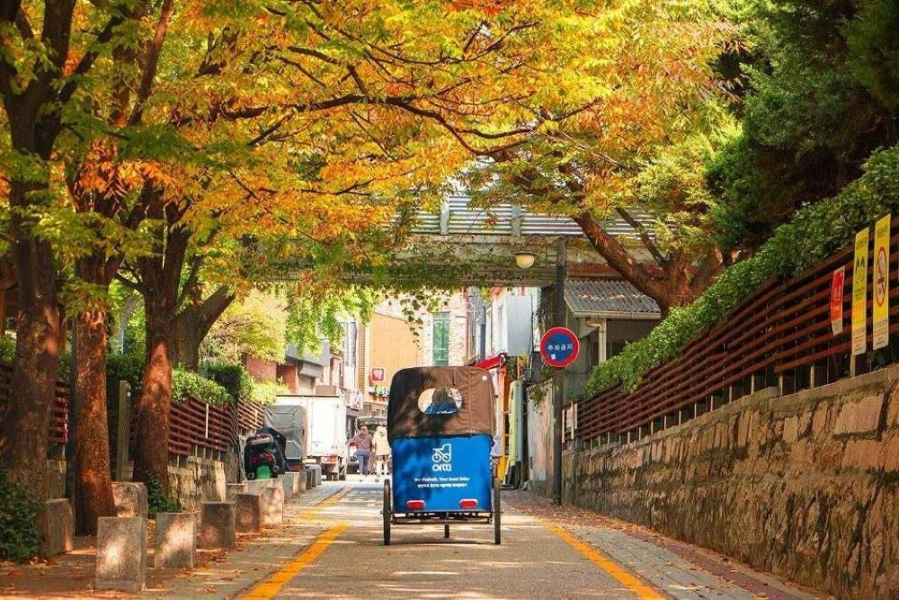 놀지 이미지