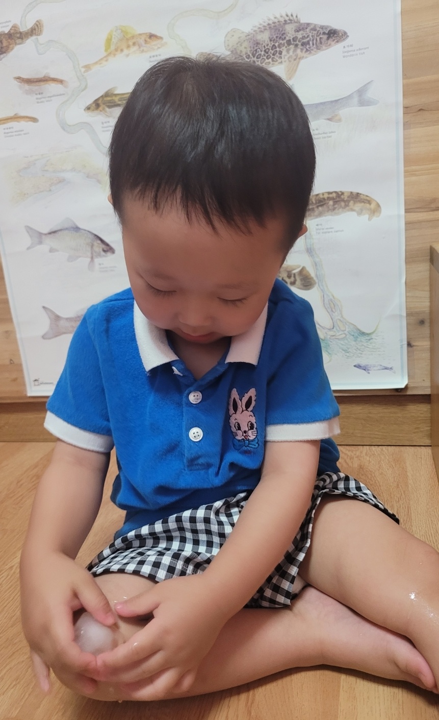 닥꽃 이미지