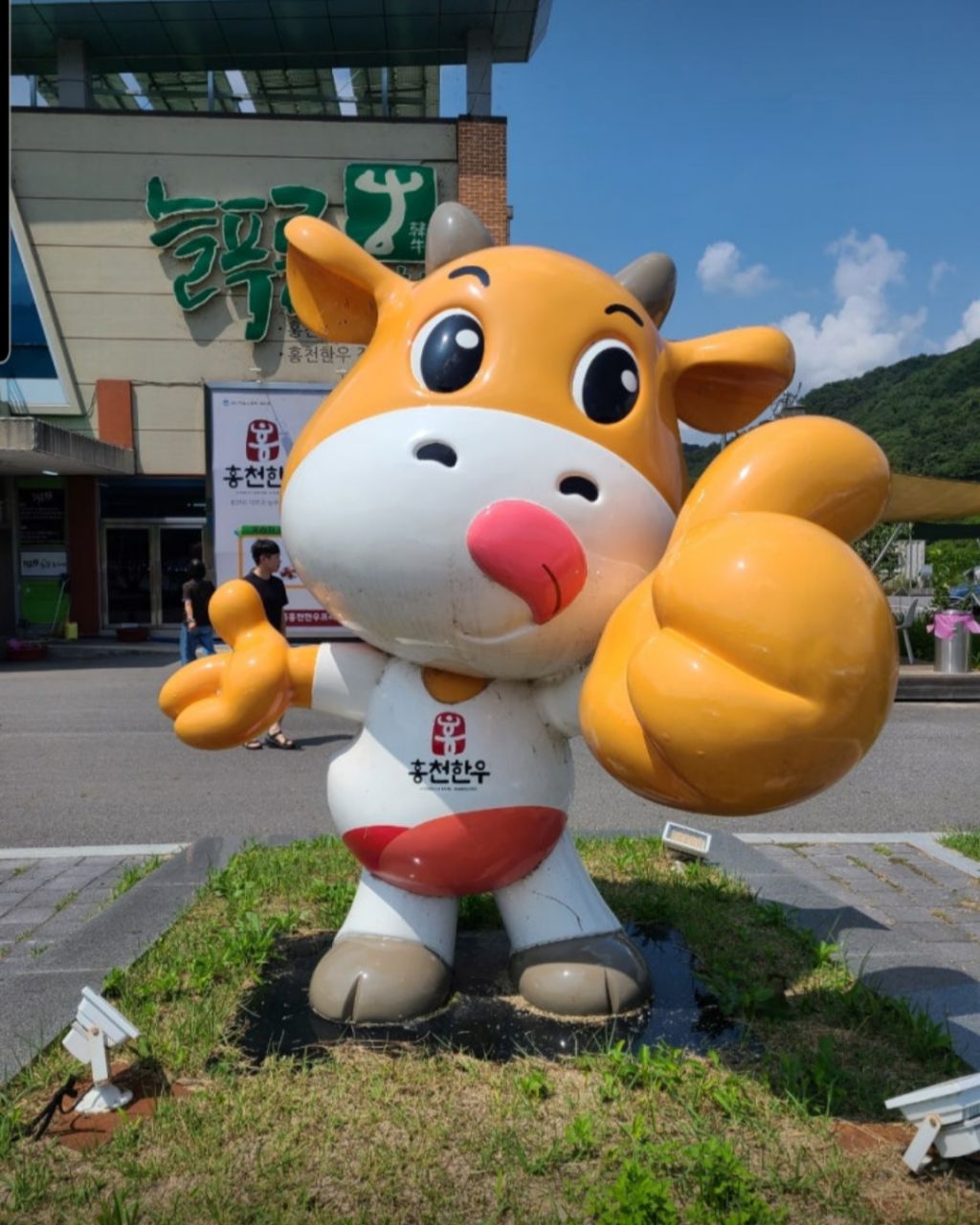 홍천한우프라자 이미지