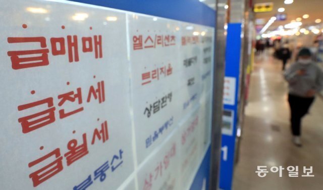 빅스텝 이미지
