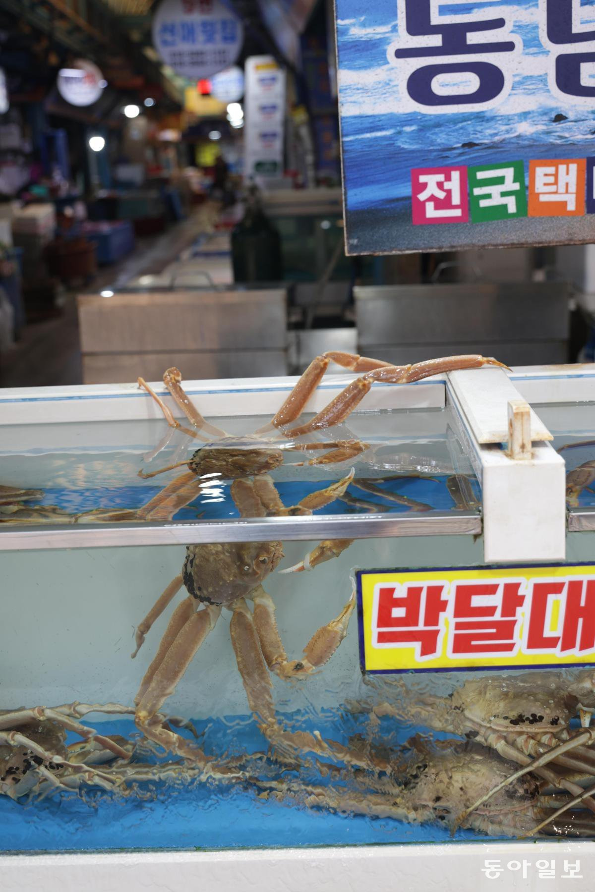 가자 이미지