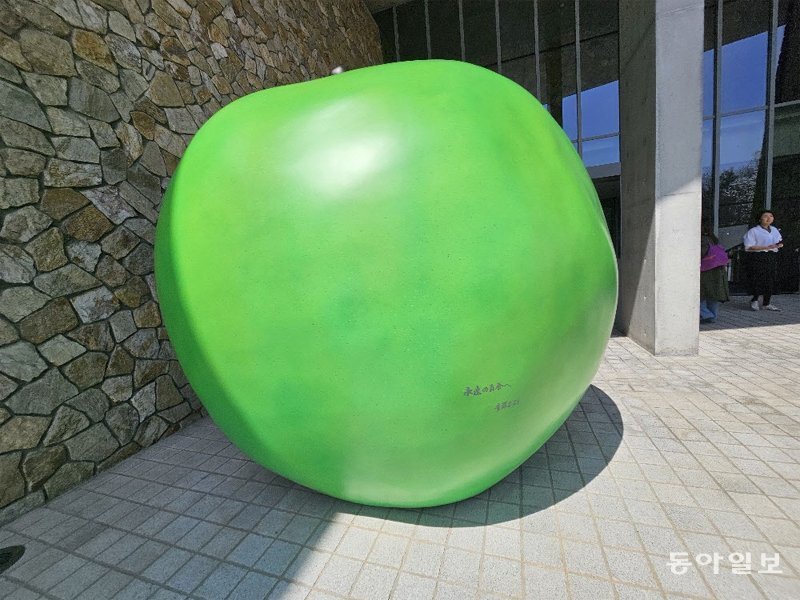 푸른사과 이미지