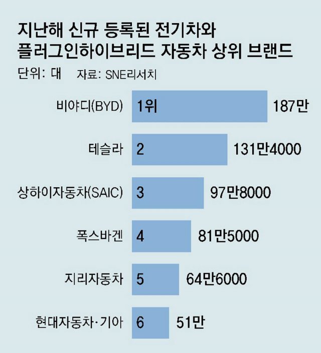 세계전기 이미지