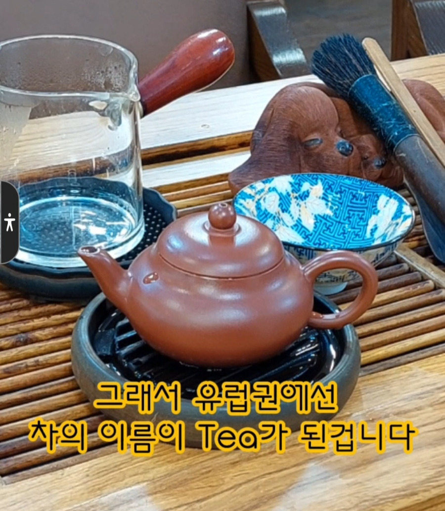 지유명차 이미지