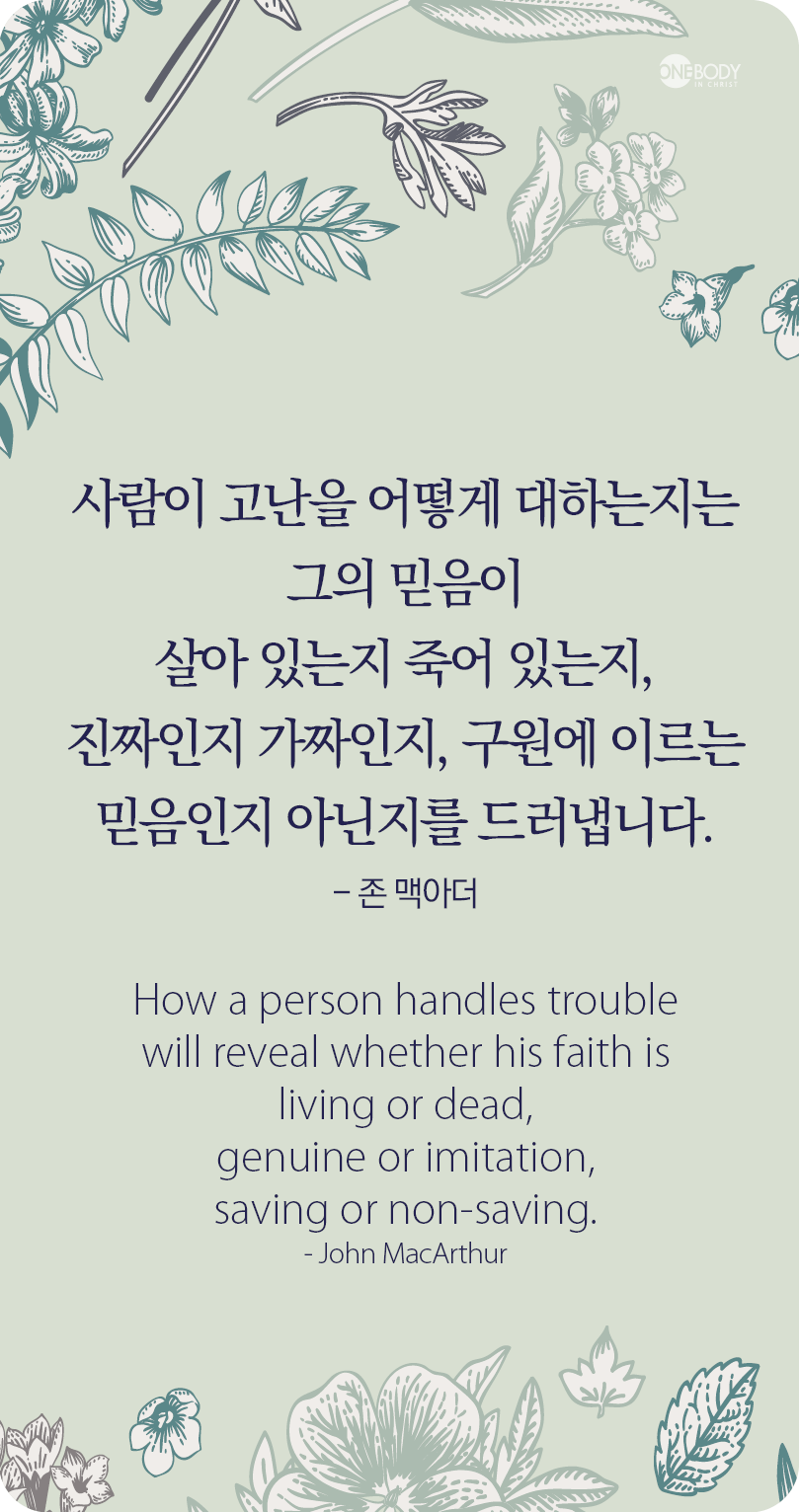 진짜 이미지
