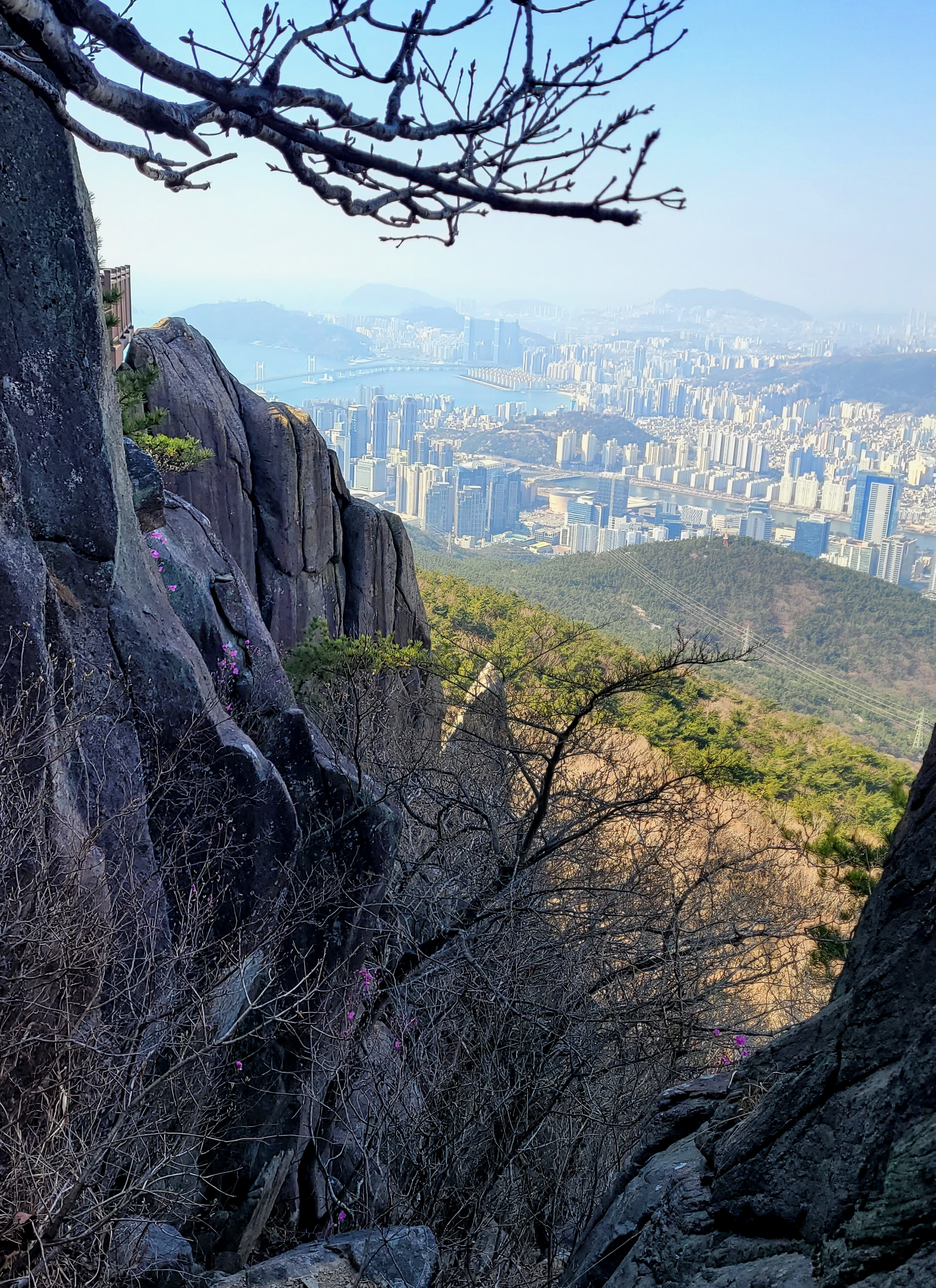 장산 이미지