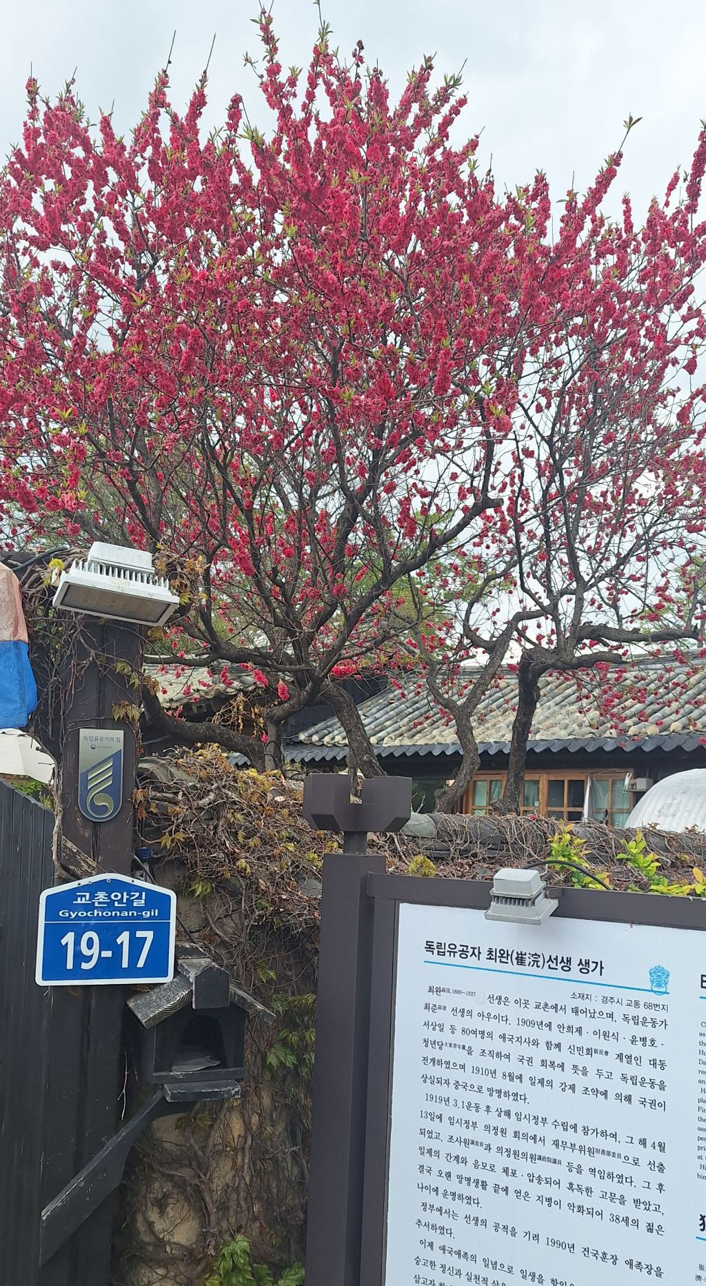 토함산 이미지