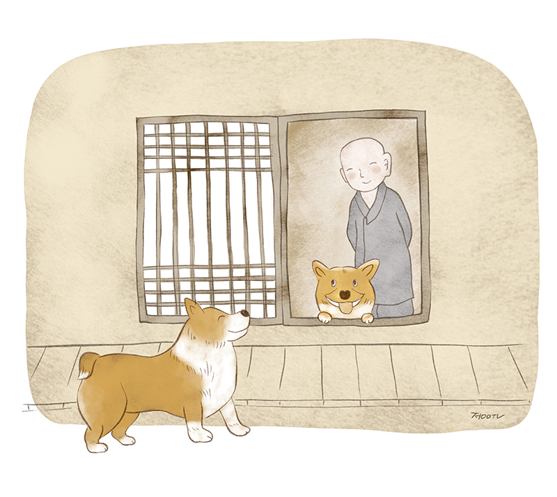 동화숲 이미지