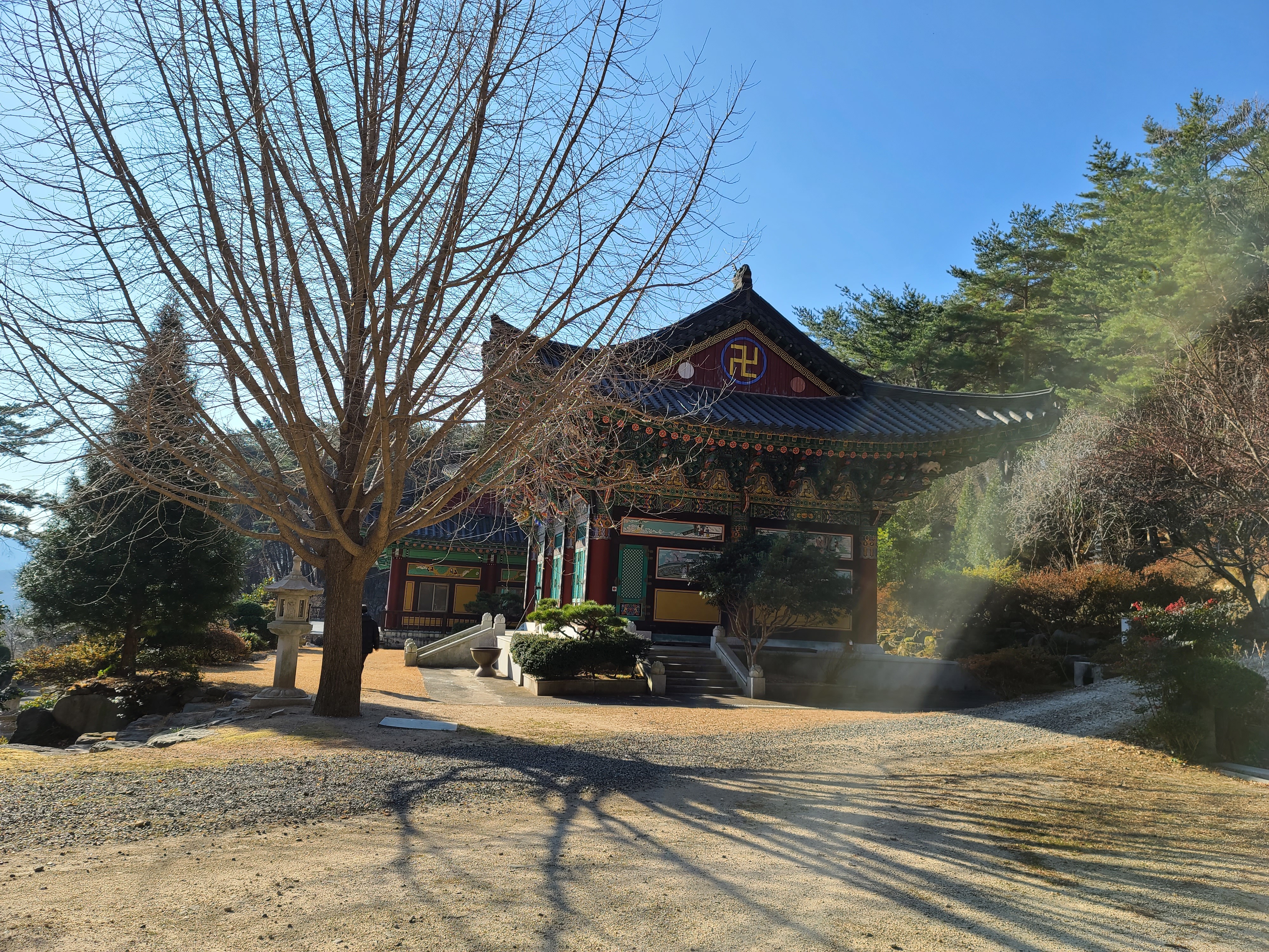 지안21 이미지