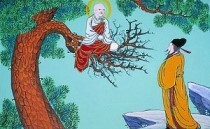 도림 이미지