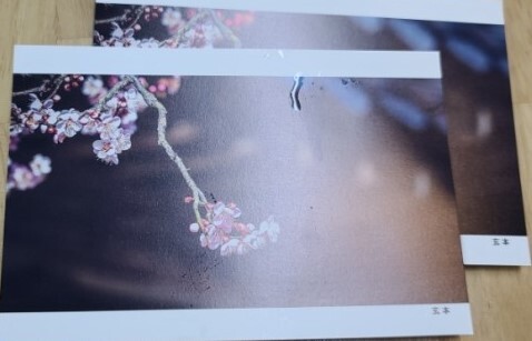 엽서한장 이미지