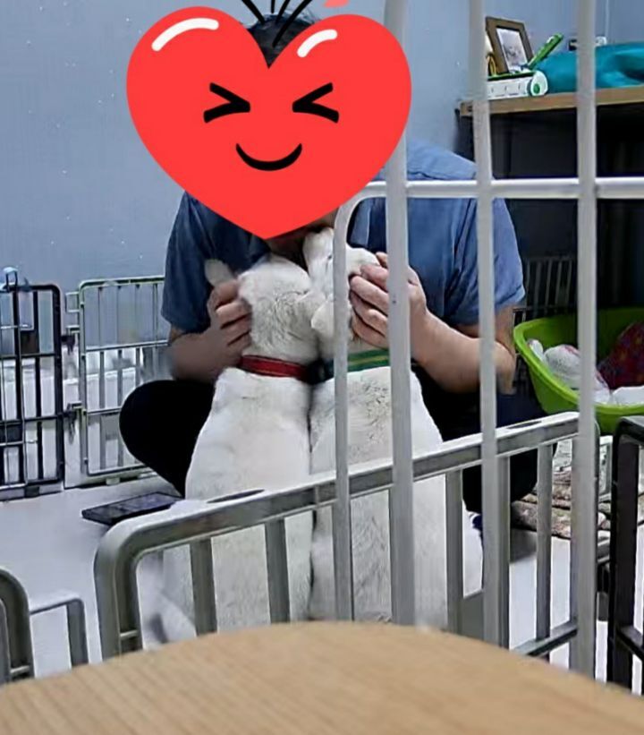 해피 이미지