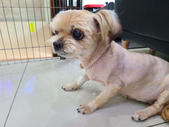 주디 이미지