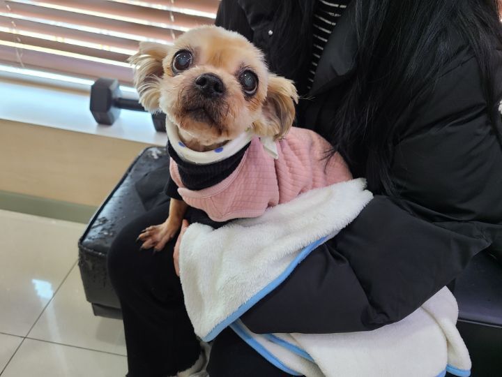 주디 이미지