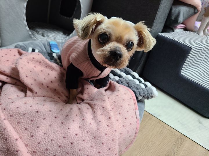 주디 이미지