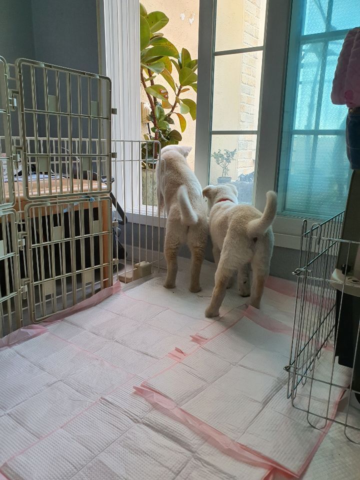 해피도너 이미지