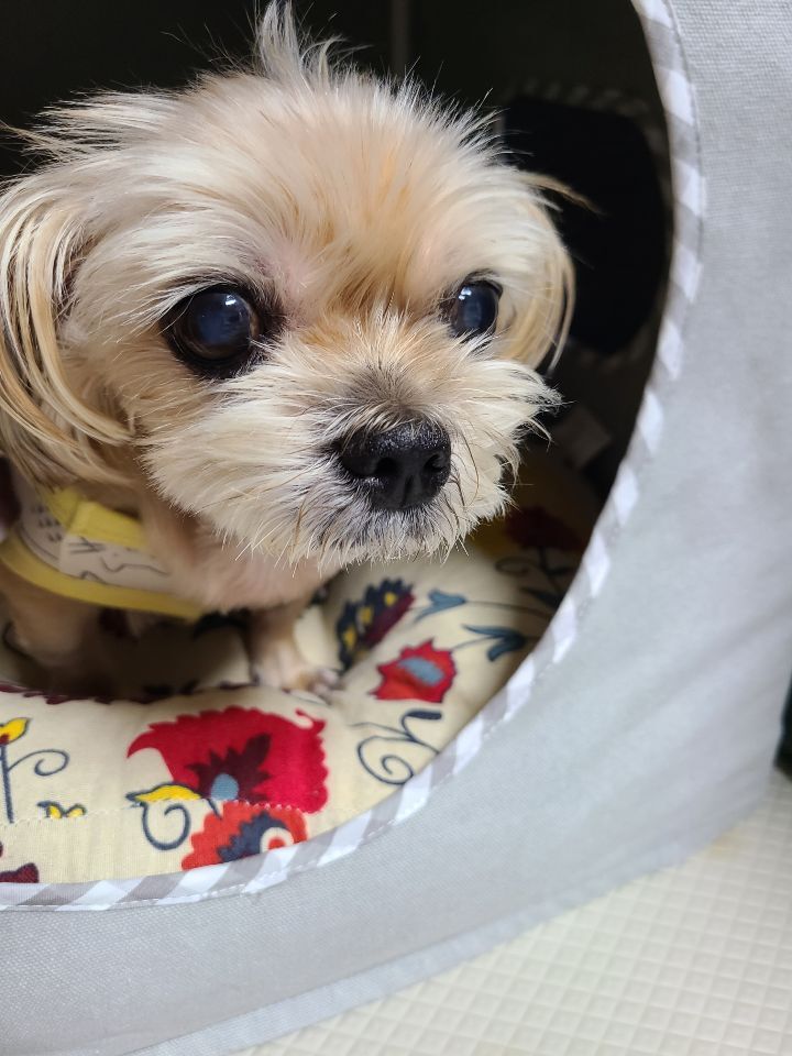 주디 이미지