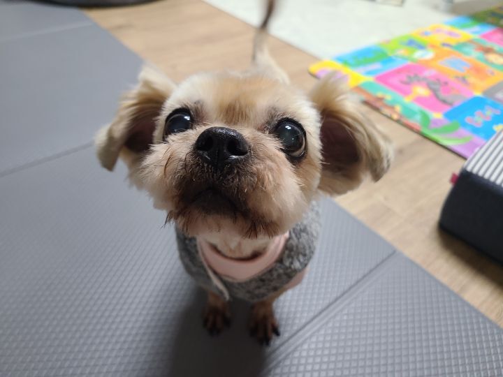 주디 이미지