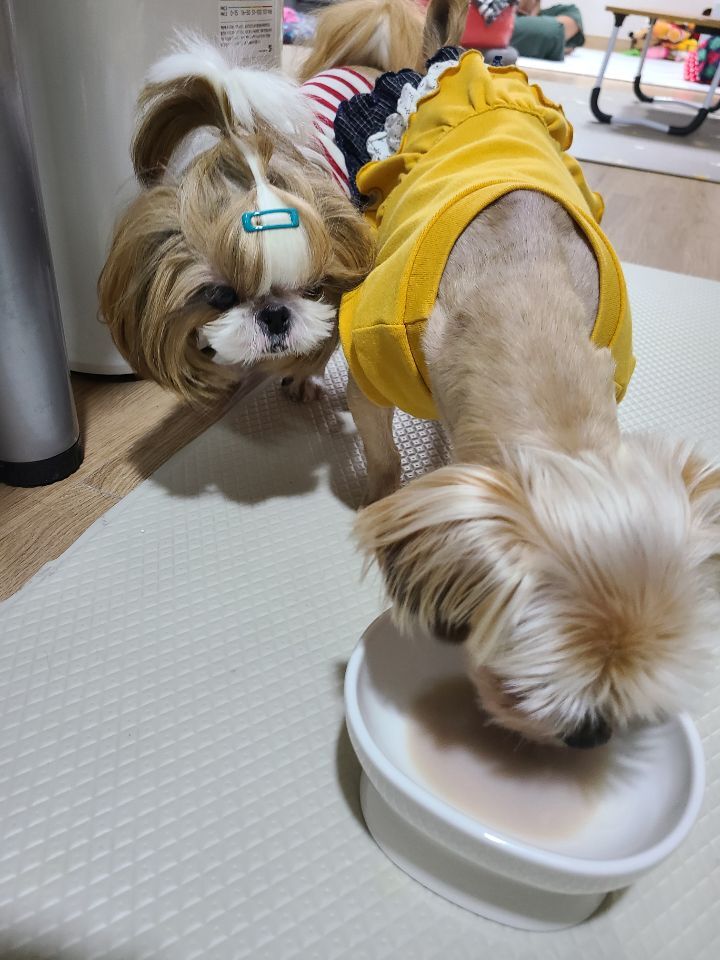 주디 이미지