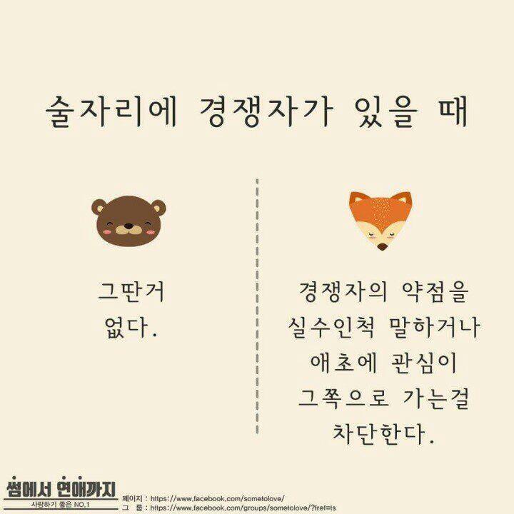 곰과여우 이미지