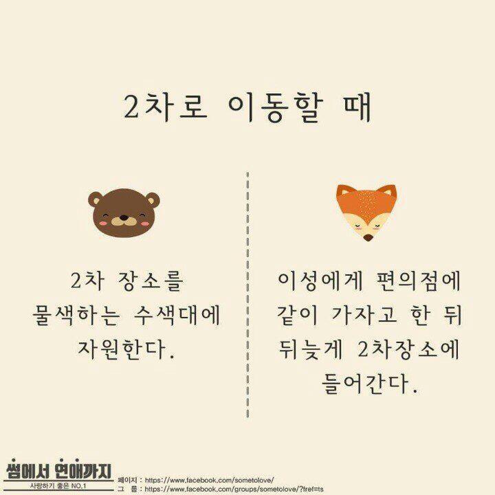 곰과여우 이미지