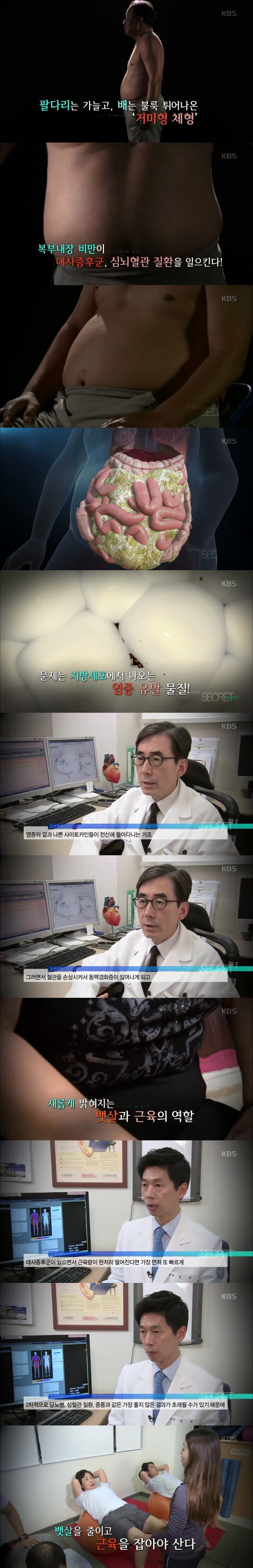 의사들 : 팔다리 지방보다 복부 지방이 훨씬 해롭다.jpg | 인스티즈