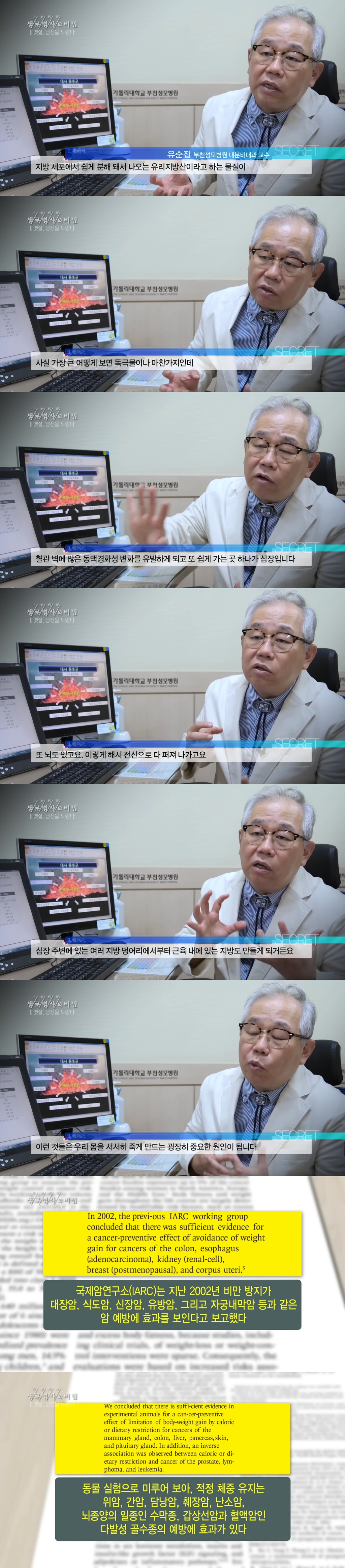 비만이 몸에 해롭고 암까지 유발하는 이유.jpg | 인스티즈